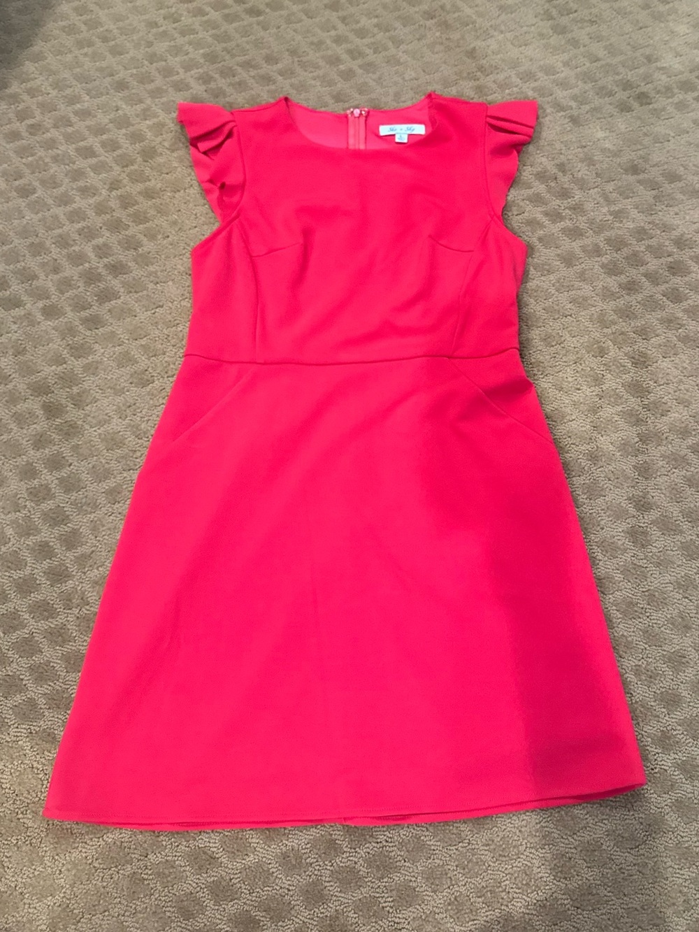 She + Sky Hot Pink Ruffle Sleeve A-Line Dress